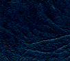 950-Med.Blue